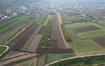serdivan kazımpaşada merkeze yakın satılık tarla