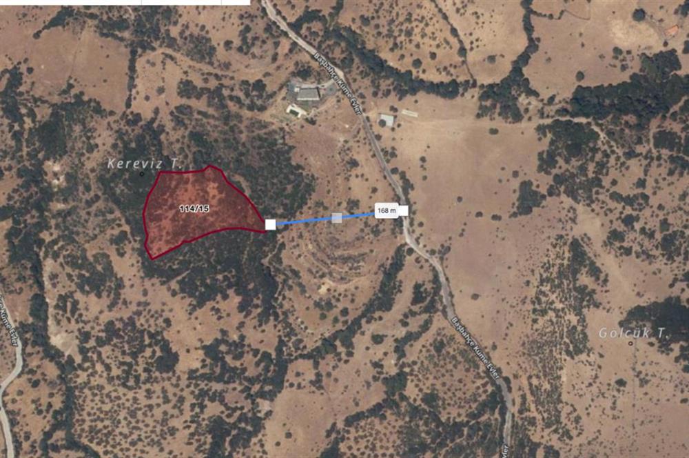 AYVACIK BADEMLİ ALTINDA 10856 M2 YATIRIMLIK SATILIK TARLA