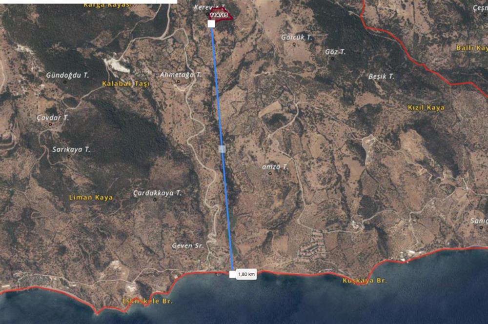 AYVACIK BADEMLİ ALTINDA 10856 M2 YATIRIMLIK SATILIK TARLA