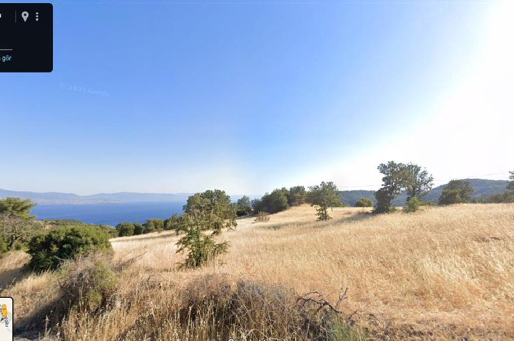 AYVACIK BADEMLİ ALTINDA 10856 M2 YATIRIMLIK SATILIK TARLA