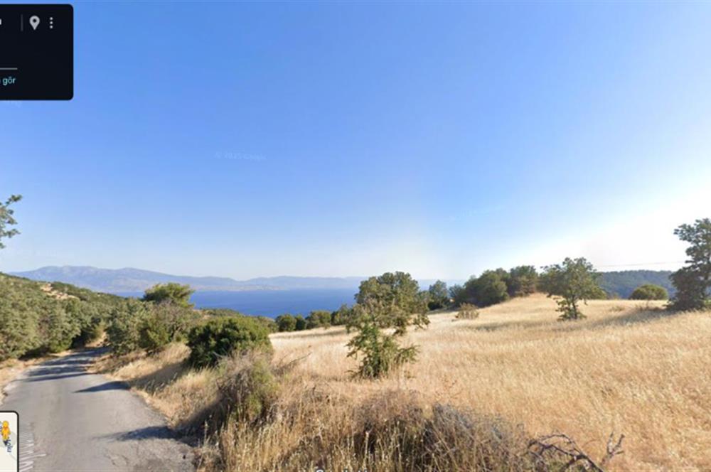 AYVACIK BADEMLİ ALTINDA 10856 M2 YATIRIMLIK SATILIK TARLA