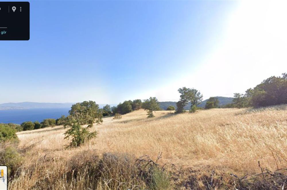 AYVACIK BADEMLİ ALTINDA 10856 M2 YATIRIMLIK SATILIK TARLA