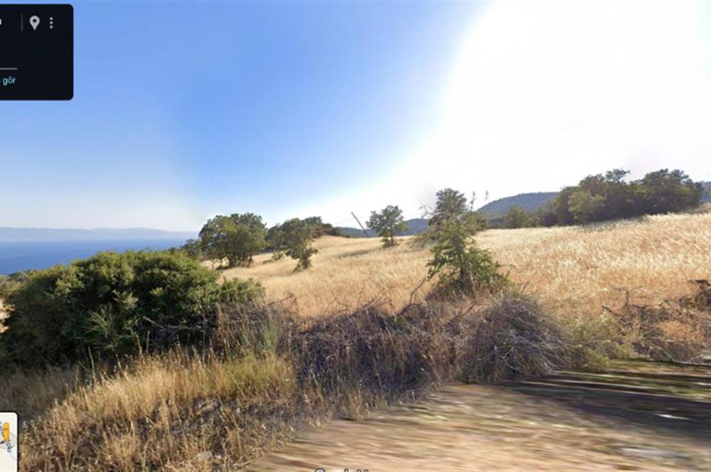 AYVACIK BADEMLİ ALTINDA 10856 M2 YATIRIMLIK SATILIK TARLA