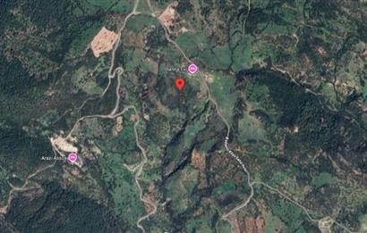 AYVACIK BADEMLİ ALTINDA 10856 M2 YATIRIMLIK SATILIK TARLA