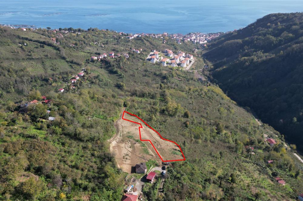 CENTURY 21' DEN PERŞEMBE BABALI MAH.DENİZ MANZARALI  3084 m² ARSA