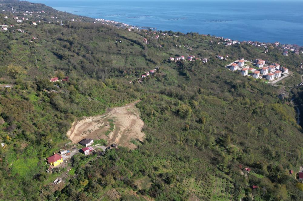 CENTURY 21' DEN PERŞEMBE BABALI MAH.DENİZ MANZARALI  3084 m² ARSA