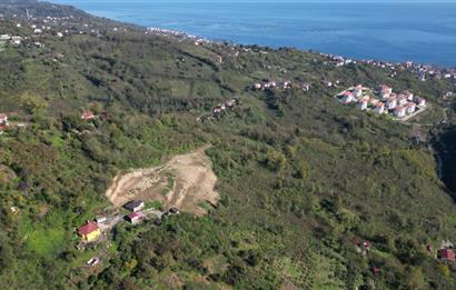 CENTURY 21' DEN PERŞEMBE BABALI MAH.DENİZ MANZARALI  3084 m² ARSA