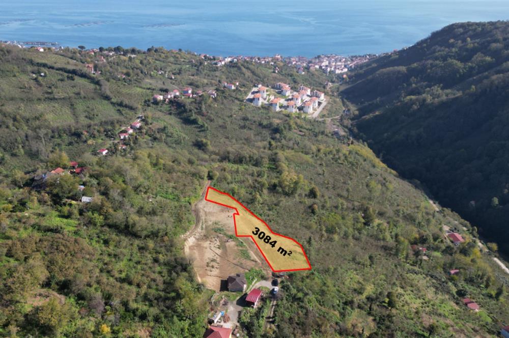 CENTURY 21' DEN PERŞEMBE BABALI MAH.DENİZ MANZARALI  3084 m² ARSA