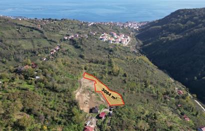 CENTURY 21' DEN PERŞEMBE BABALI MAH.DENİZ MANZARALI  3084 m² ARSA