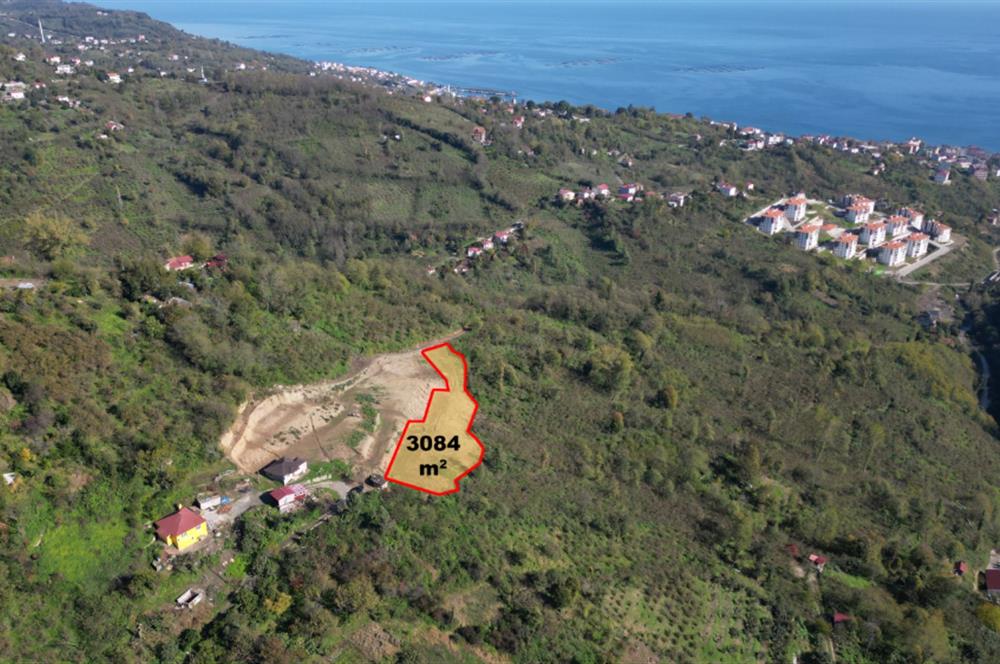 CENTURY 21' DEN PERŞEMBE BABALI MAH.DENİZ MANZARALI  3084 m² ARSA