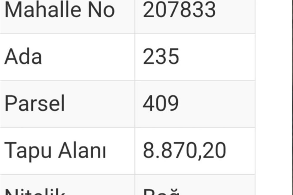Denizli Çal Hançalar Satılık Bağ Arazi – Yatırım Fırsatı