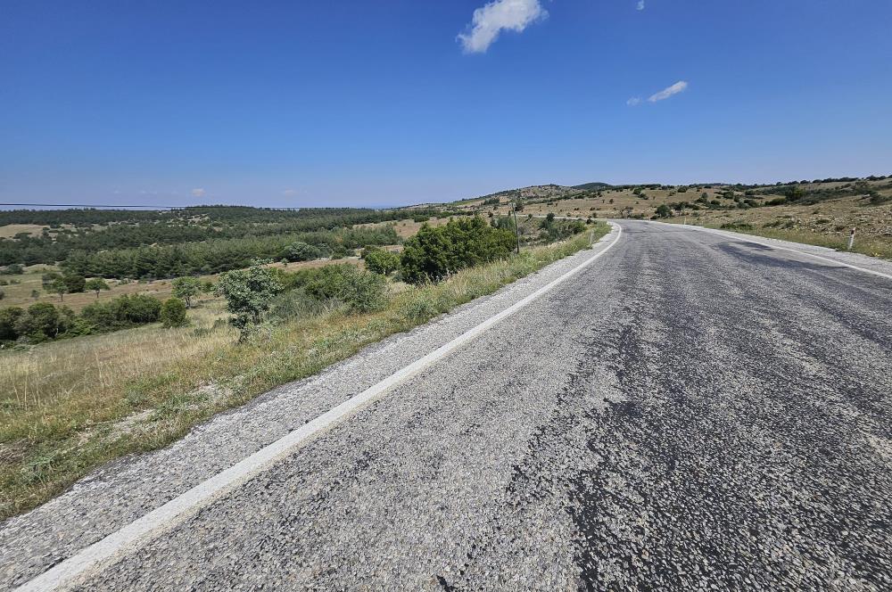 Denizli Çal Hançalar Satılık Bağ Arazi – Yatırım Fırsatı