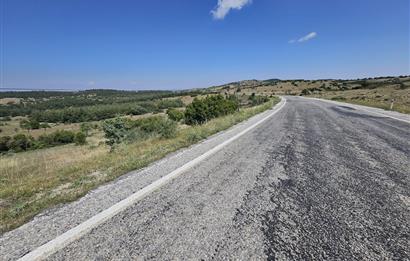 Denizli Çal Hançalar Satılık Bağ Arazi – Yatırım Fırsatı
