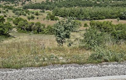 Denizli Çal Hançalar Satılık Bağ Arazi – Yatırım Fırsatı