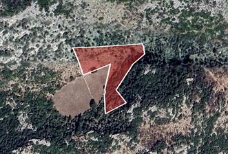 MARMARİS BAYIR KÖYÜN'DE SATILIK YOLA YAKIN ARAZİ - 1 - 29680