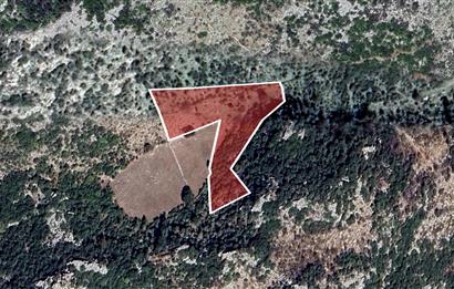 MARMARİS BAYIR KÖYÜN'DE SATILIK YOLA YAKIN ARAZİ