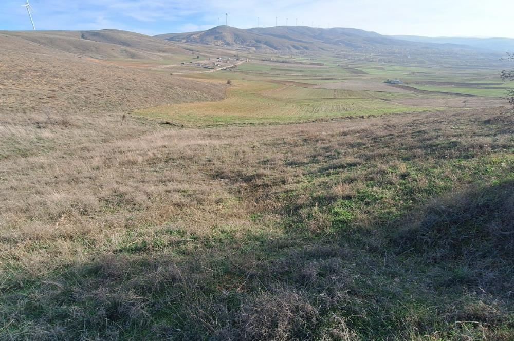 CENTURY 21 VİZYON'DAN ULUDERE’DE 1243 M2 SATILIK TARLA