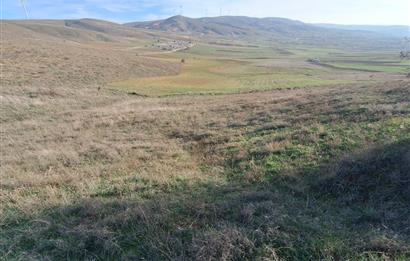 CENTURY 21 VİZYON'DAN ULUDERE’DE 1243 M2 SATILIK TARLA