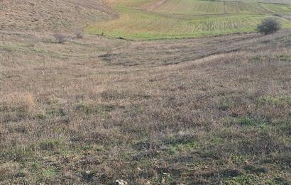 CENTURY 21 VİZYON'DAN ULUDERE’DE 1243 M2 SATILIK TARLA