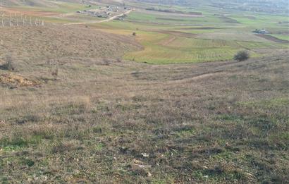 CENTURY 21 VİZYON'DAN ULUDERE’DE 1243 M2 SATILIK TARLA