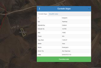 CENTURY 21 VİZYON'DAN ULUDERE’DE 1243 M2 SATILIK TARLA - 6 - 29749