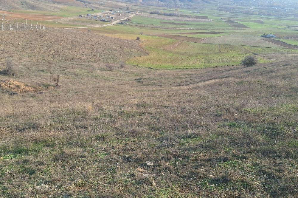 CENTURY 21 VİZYON'DAN ULUDERE’DE 1243 M2 SATILIK TARLA