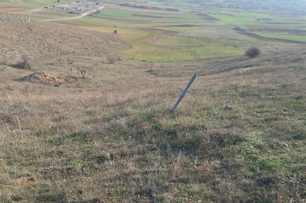 CENTURY 21 VİZYON'DAN ULUDERE’DE 1243 M2 SATILIK TARLA