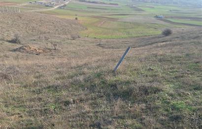 CENTURY 21 VİZYON'DAN ULUDERE’DE 1243 M2 SATILIK TARLA