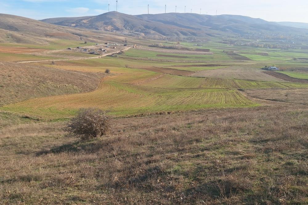 CENTURY 21 VİZYON'DAN ULUDERE’DE 1243 M2 SATILIK TARLA