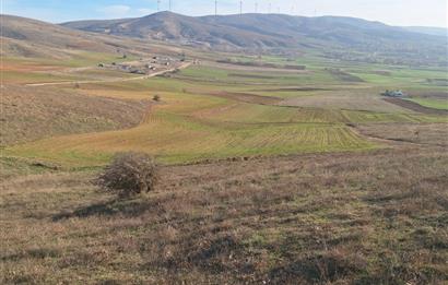 CENTURY 21 VİZYON'DAN ULUDERE’DE 1243 M2 SATILIK TARLA