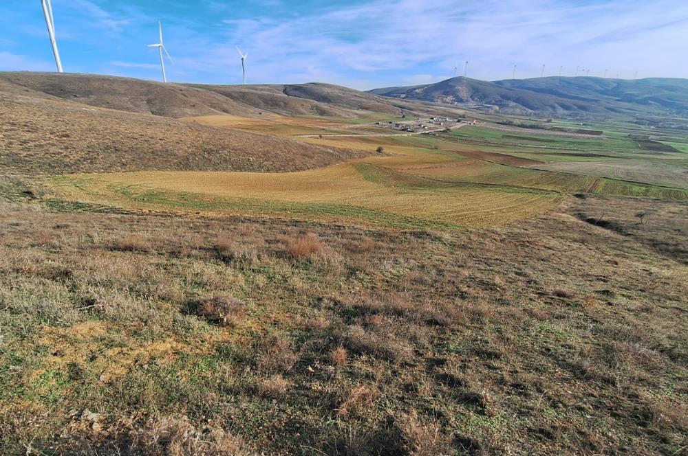 CENTURY 21 VİZYON'DAN ULUDERE’DE 1243 M2 SATILIK TARLA