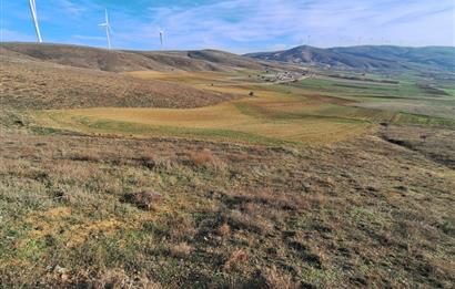 CENTURY 21 VİZYON'DAN ULUDERE’DE 1243 M2 SATILIK TARLA