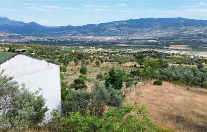 SAKARYA PAMUKOVA BAYIRAKÇAŞEHİR 3115 M2 SATILIK TARLA