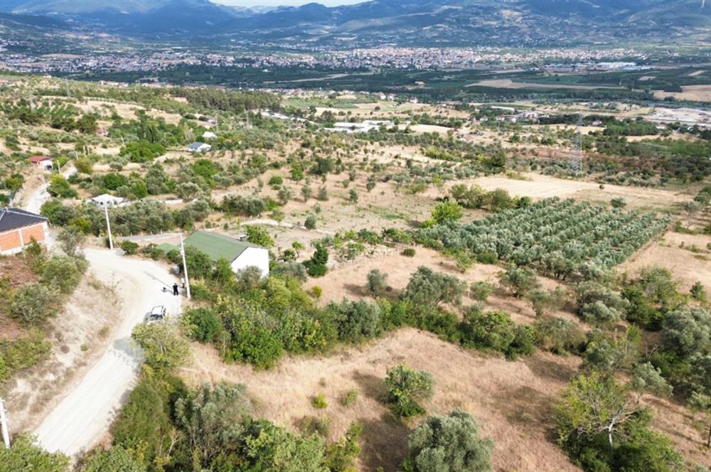 SAKARYA PAMUKOVA BAYIRAKÇAŞEHİR 3115 M2 SATILIK TARLA