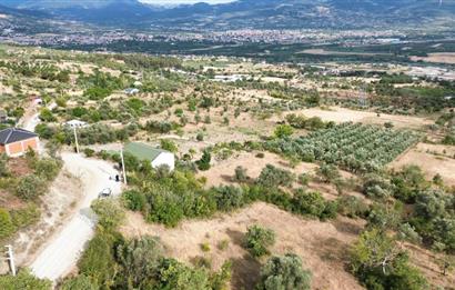 SAKARYA PAMUKOVA BAYIRAKÇAŞEHİR 3115 M2 SATILIK TARLA