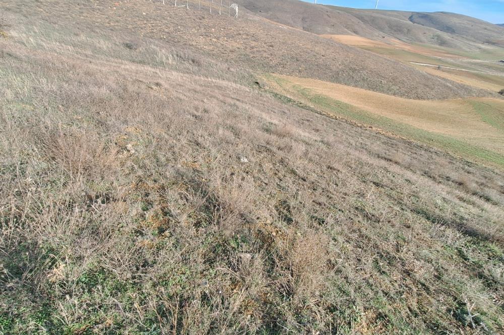 CENTURY 21 VİZYON'DAN ULUDERE’DE 1243 M2 SATILIK TARLA