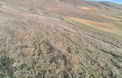 CENTURY 21 VİZYON'DAN ULUDERE’DE 1243 M2 SATILIK TARLA