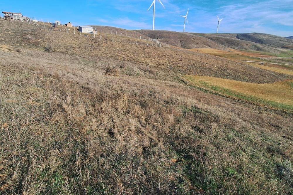 CENTURY 21 VİZYON'DAN ULUDERE’DE 1243 M2 SATILIK TARLA