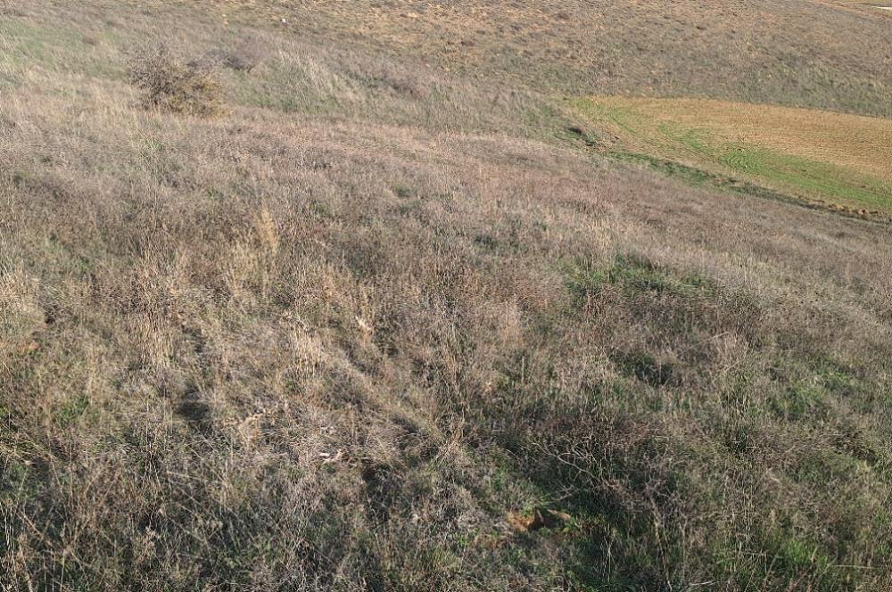 CENTURY 21 VİZYON'DAN ULUDERE’DE 1243 M2 SATILIK TARLA