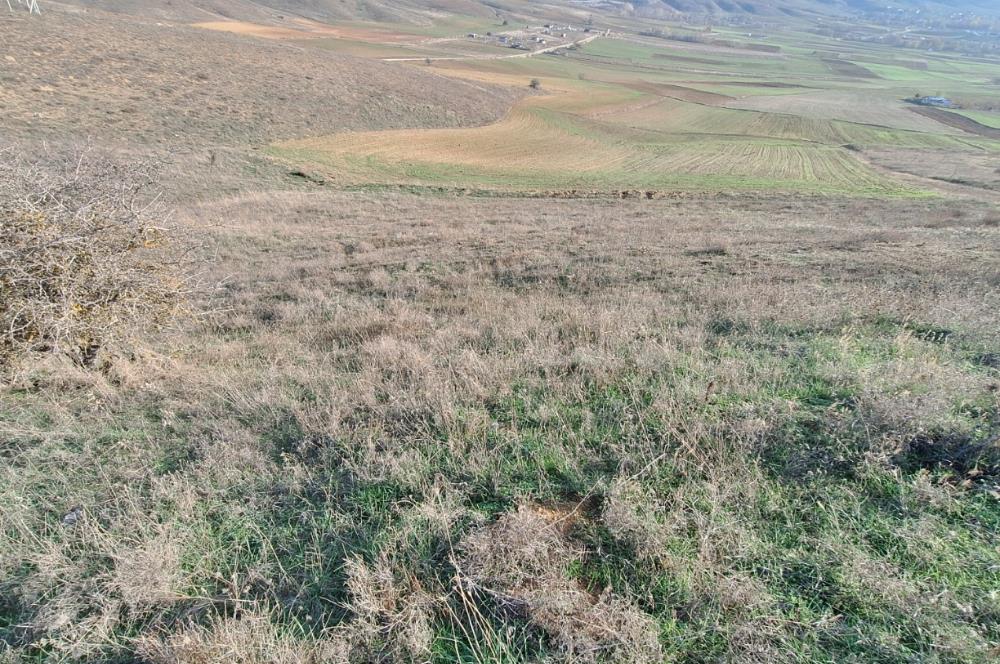 CENTURY 21 VİZYON'DAN ULUDERE’DE 1243 M2 SATILIK TARLA