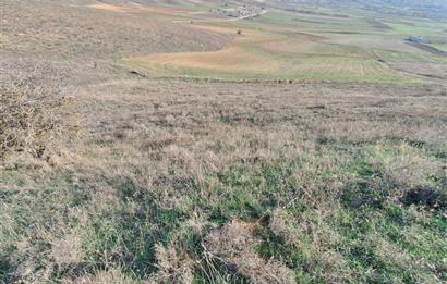 CENTURY 21 VİZYON'DAN ULUDERE’DE 1243 M2 SATILIK TARLA