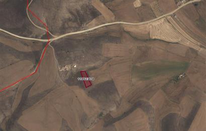 CENTURY 21 VİZYON'DAN ULUDERE’DE 1243 M2 SATILIK TARLA