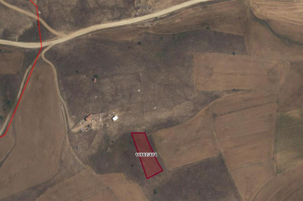 CENTURY 21 VİZYON'DAN ULUDERE’DE 1243 M2 SATILIK TARLA