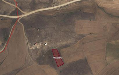 CENTURY 21 VİZYON'DAN ULUDERE’DE 1243 M2 SATILIK TARLA