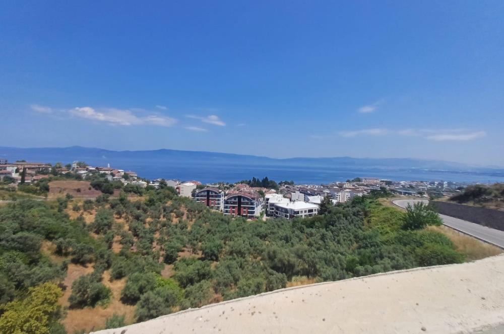 C21 Cius; Kurşunluda Satılık Fırsat İş Yeri 60 m2