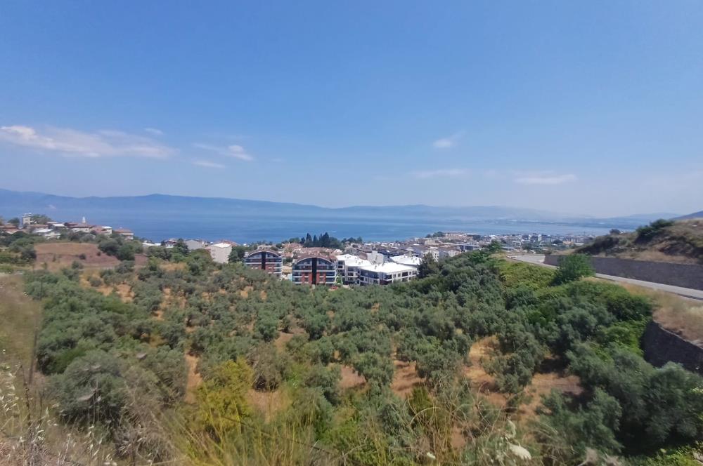 C21 Cius; Kurşunlu'da 60 m2 Fırsat İşyeri