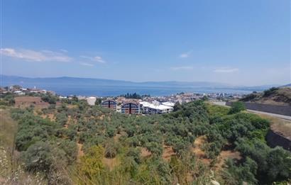 C21 Cius; Kurşunlu'da 60 m2 Fırsat İşyeri