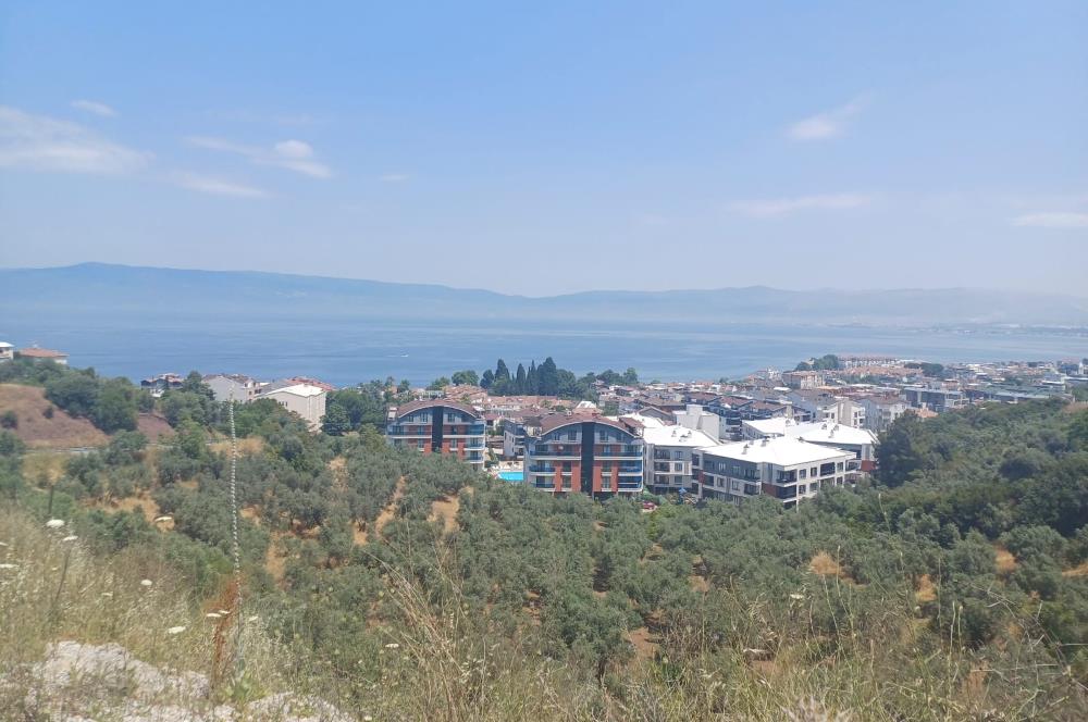 C21 Cius; Kurşunluda Satılık Fırsat İş Yeri 60 m2