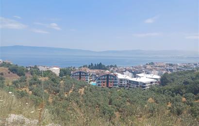 C21 Cius; Kurşunluda Satılık Fırsat İş Yeri 60 m2