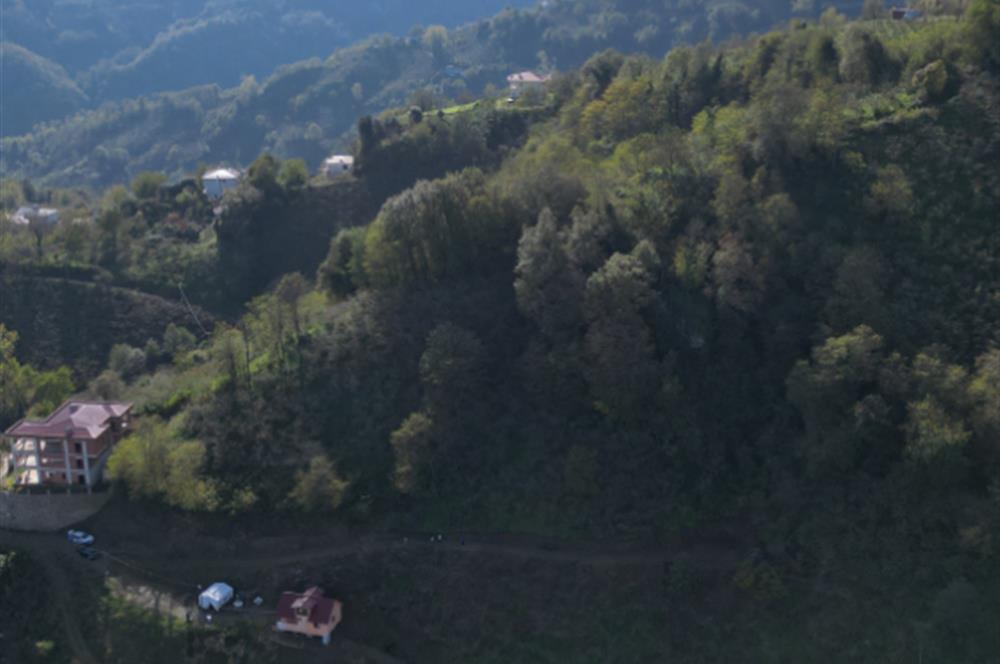 CENTURY 21'DEN PERŞEMBE TARLACIK MAH. DENİZ MANZARALI ARSA